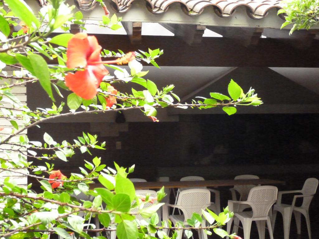 Hostel De Los Artistas เมนโดซา ภายนอก รูปภาพ